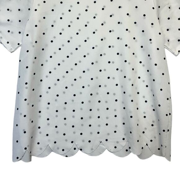 Hailey & Co. Polka Dot Blouse black white short sleeve scalloped hem Size Large - Picture 3 of 11